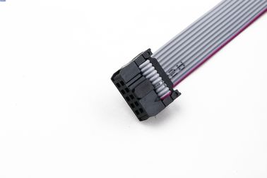 Assemblaggio di cavi piatti per dati con connettori FRC neri a 10 pin